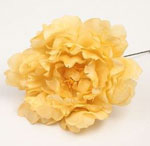 Peony Feria. Flamenco flowers. Mustard. 11cm 3.640€ #504190086MSTZ